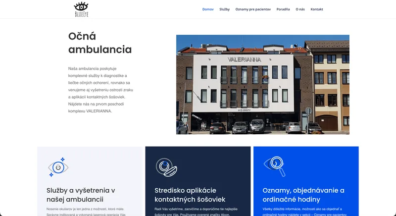 Ukážka projektu Blue Eye – webstránka, tvorba IT Hero